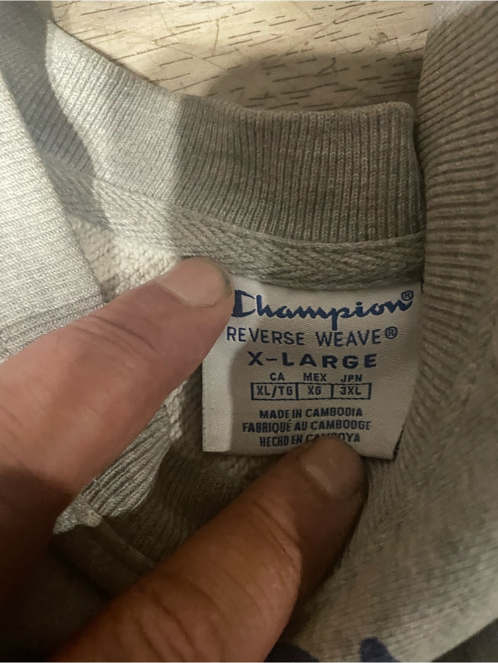 Champion - Picture 2 of 3